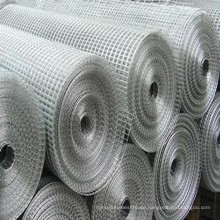 China professional cheap galvanized wire mesh rolls / 1/2 inch square hole welded wire mesh / pvc coated welded wire mesh